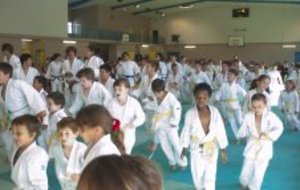 Fin de saison : Les judokas récompensés 