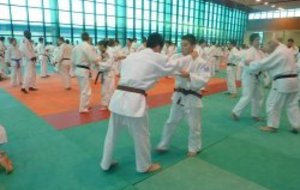 Quatre judokas au stage de la Talaudière